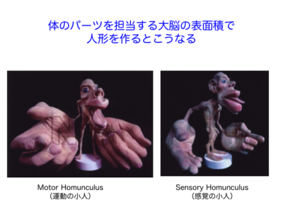 ポジショニングR.E.D.セミナー 実技編～微小重力環境で行う中枢系筋緊張制御アプローチ