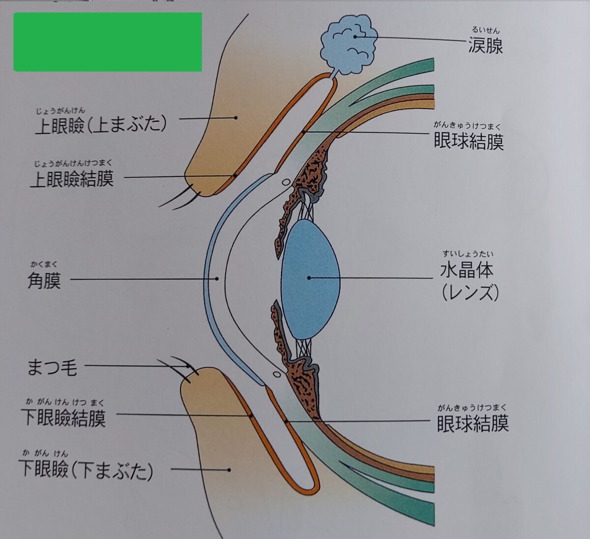 友人に「放っておいても大丈夫」といわれたけど心配です。