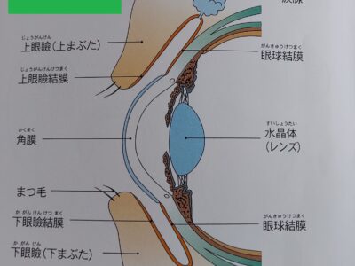 友人に「放っておいても大丈夫」といわれたけど心配です。