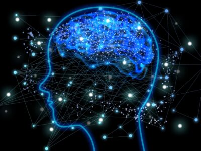 ユニリハ研究ノート　なぜ、片麻痺では“過緊張・拘縮”が起こるのか　～エビデンス編～