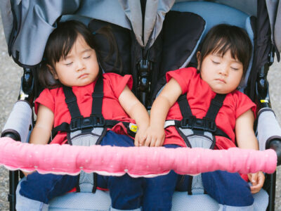  視床室傍核（PVT）におけるオキシトシン受容体神経の機能的役割