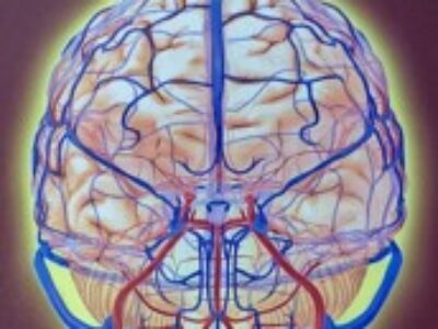 【冬の注意】COVID-19と「血栓」リスク