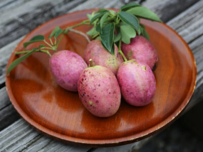 「むべなるかな」って何か知ってる？？